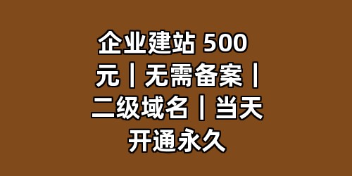 企业建站 500 元｜无需备案｜二级域名｜当天开通永久
